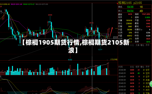 【棕榈1905期货行情,棕榈期货2105新浪】-第2张图片