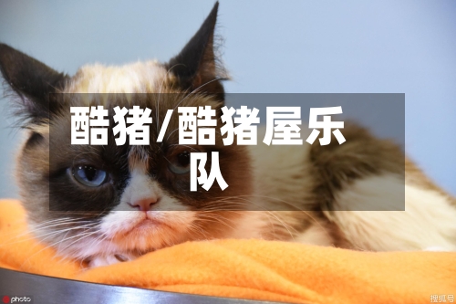 酷猪/酷猪屋乐队-第3张图片