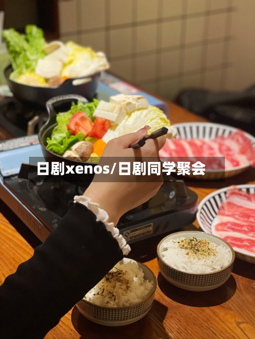日剧xenos/日剧同学聚会-第3张图片