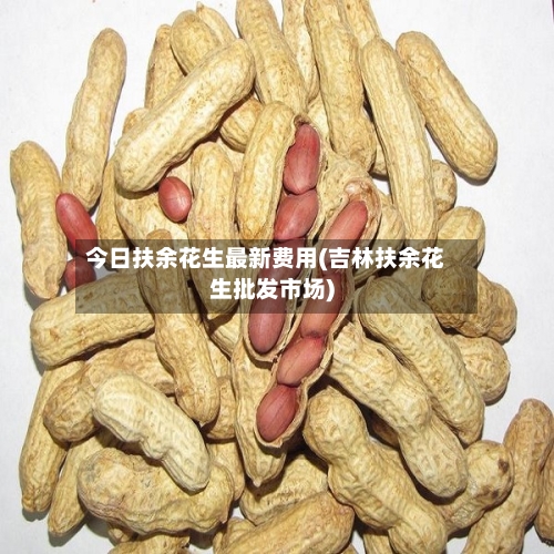 今日扶余花生最新费用(吉林扶余花生批发市场)-第2张图片