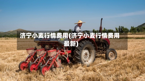 济宁小麦行情费用(济宁小麦行情费用最新)