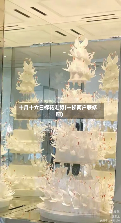 十月十六日棉花走势(一梯两户装修图)-第2张图片