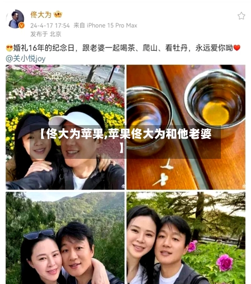 【佟大为苹果,苹果佟大为和他老婆】-第3张图片