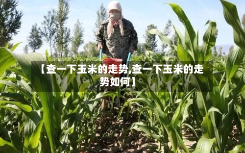 【查一下玉米的走势,查一下玉米的走势如何】