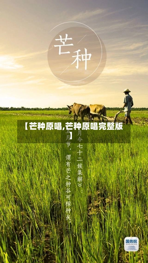 【芒种原唱,芒种原唱完整版】-第2张图片