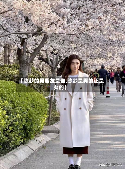 【陈梦的男朋友是谁,陈梦是男的还是女的】-第3张图片