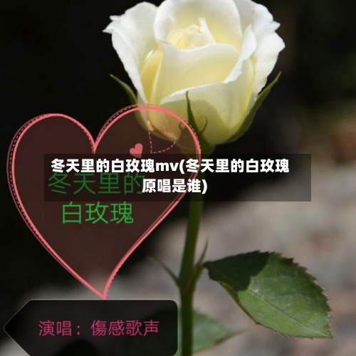 冬天里的白玫瑰mv(冬天里的白玫瑰原唱是谁)