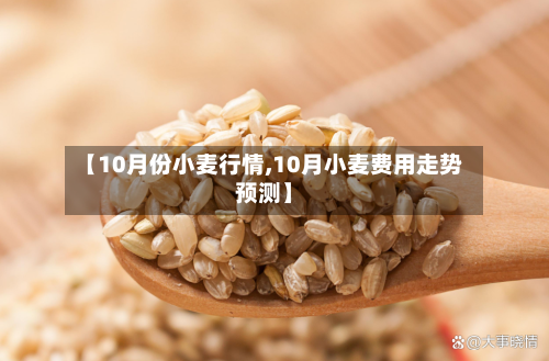 【10月份小麦行情,10月小麦费用走势预测】