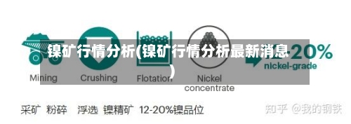 镍矿行情分析(镍矿行情分析最新消息)-第2张图片