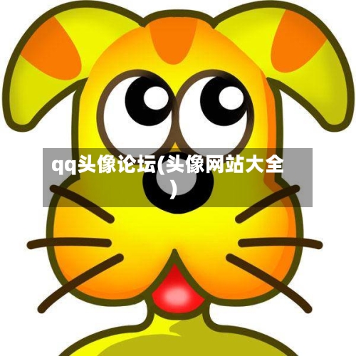 qq头像论坛(头像网站大全)
