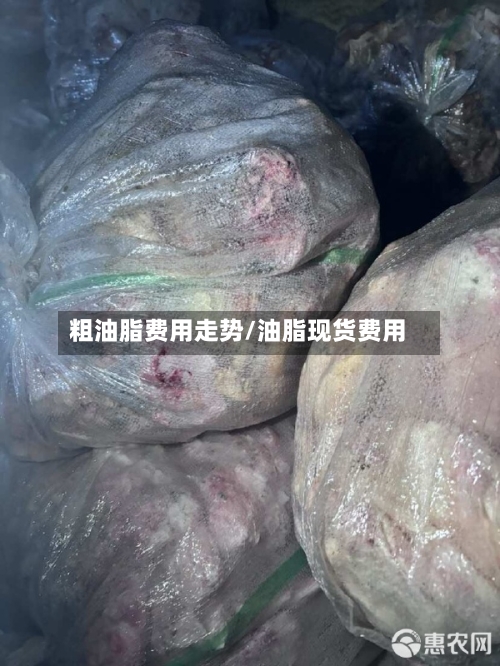 粗油脂费用走势/油脂现货费用