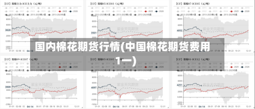 国内棉花期货行情(中国棉花期货费用1一)