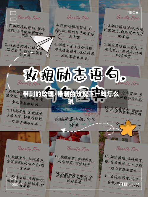 带刺的玫瑰/带刺的玫瑰下一句怎么说