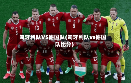 匈牙利队VS德国队(匈牙利队vs德国队比分)-第3张图片