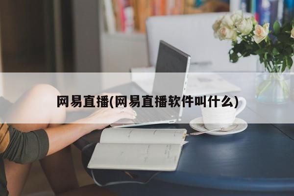 网易直播(网易直播软件叫什么)