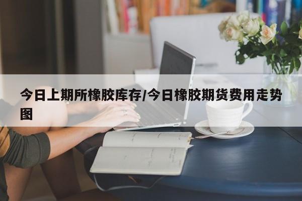 今日上期所橡胶库存/今日橡胶期货费用走势图