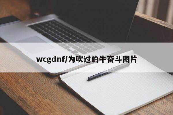 wcgdnf/为吹过的牛奋斗图片