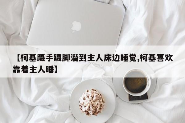 【柯基蹑手蹑脚潜到主人床边睡觉,柯基喜欢靠着主人睡】