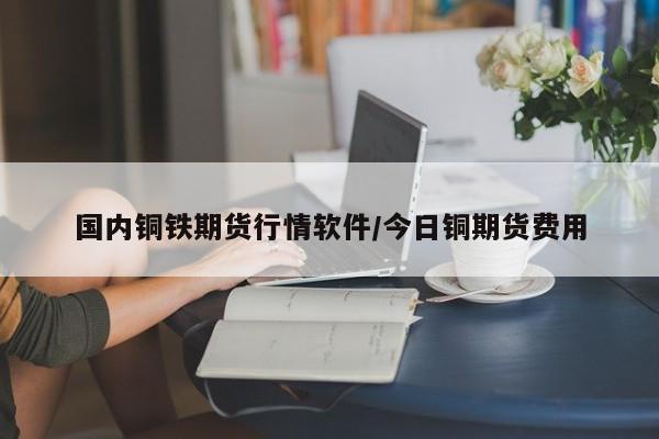 国内铜铁期货行情软件/今日铜期货费用