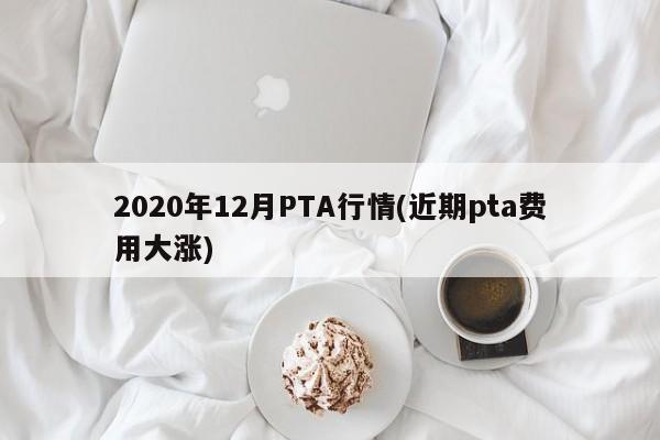 2020年12月PTA行情(近期pta费用大涨)