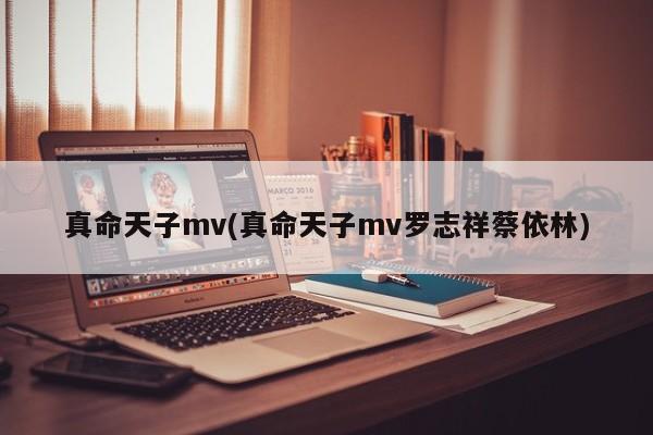 真命天子mv(真命天子mv罗志祥蔡依林)