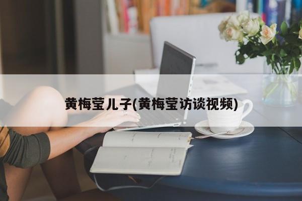 黄梅莹儿子(黄梅莹访谈视频)
