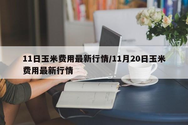 11日玉米费用最新行情/11月20日玉米费用最新行情