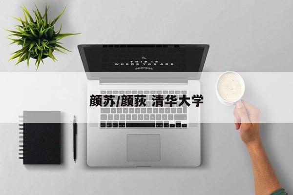 颜苏/颜荻 清华大学