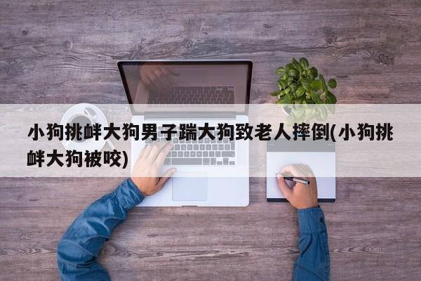 小狗挑衅大狗男子踹大狗致老人摔倒(小狗挑衅大狗被咬)