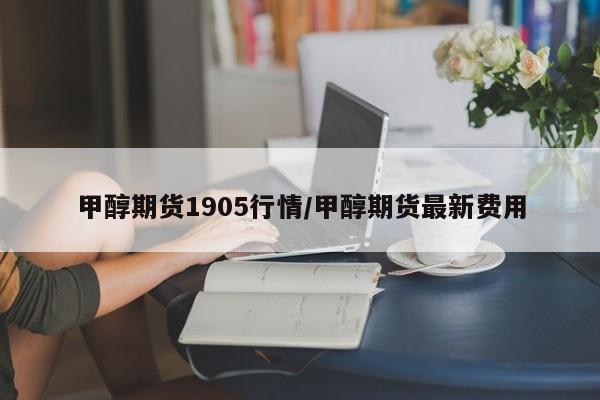甲醇期货1905行情/甲醇期货最新费用