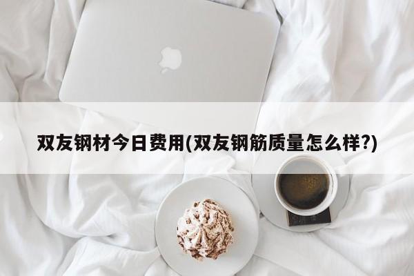双友钢材今日费用(双友钢筋质量怎么样?)