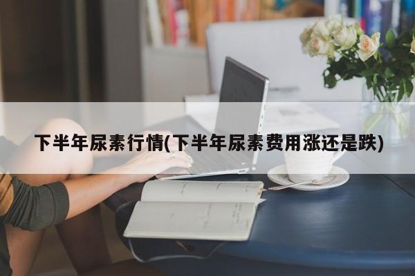 下半年尿素行情(下半年尿素费用涨还是跌)