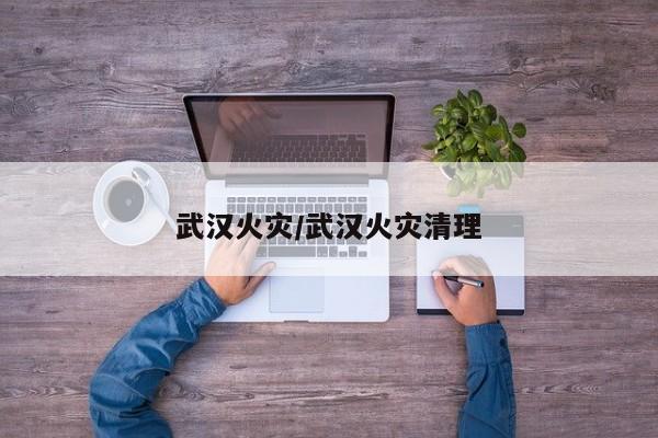 武汉火灾/武汉火灾清理