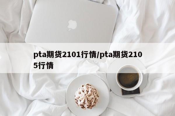 pta期货2101行情/pta期货2105行情