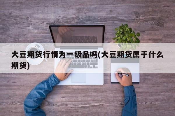 大豆期货行情为一级品吗(大豆期货属于什么期货)