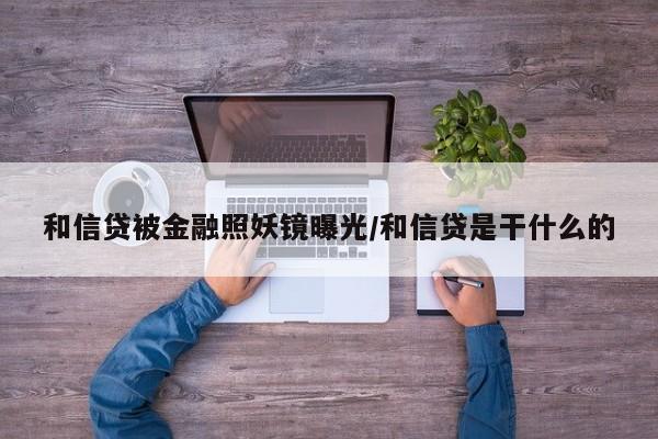 和信贷被金融照妖镜曝光/和信贷是干什么的