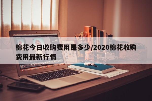 棉花今日收购费用是多少/2020棉花收购费用最新行情