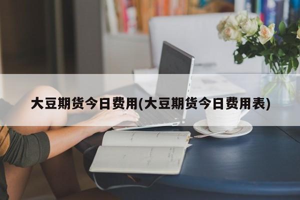 大豆期货今日费用(大豆期货今日费用表)