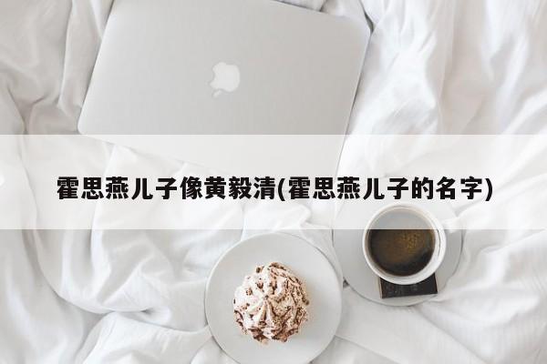 霍思燕儿子像黄毅清(霍思燕儿子的名字)