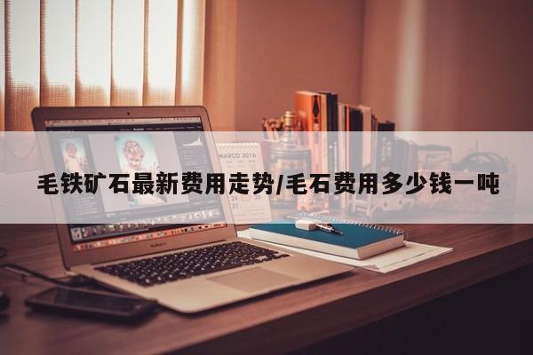 毛铁矿石最新费用走势/毛石费用多少钱一吨