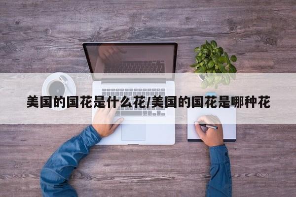 美国的国花是什么花/美国的国花是哪种花