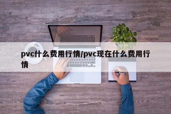 pvc什么费用行情/pvc现在什么费用行情