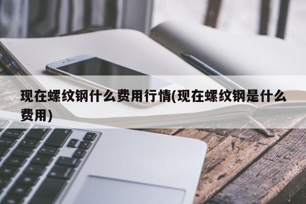 现在螺纹钢什么费用行情(现在螺纹钢是什么费用)