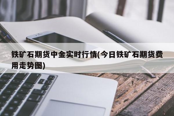 铁矿石期货中金实时行情(今日铁矿石期货费用走势图)