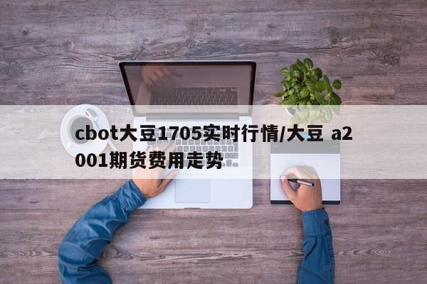 cbot大豆1705实时行情/大豆 a2001期货费用走势